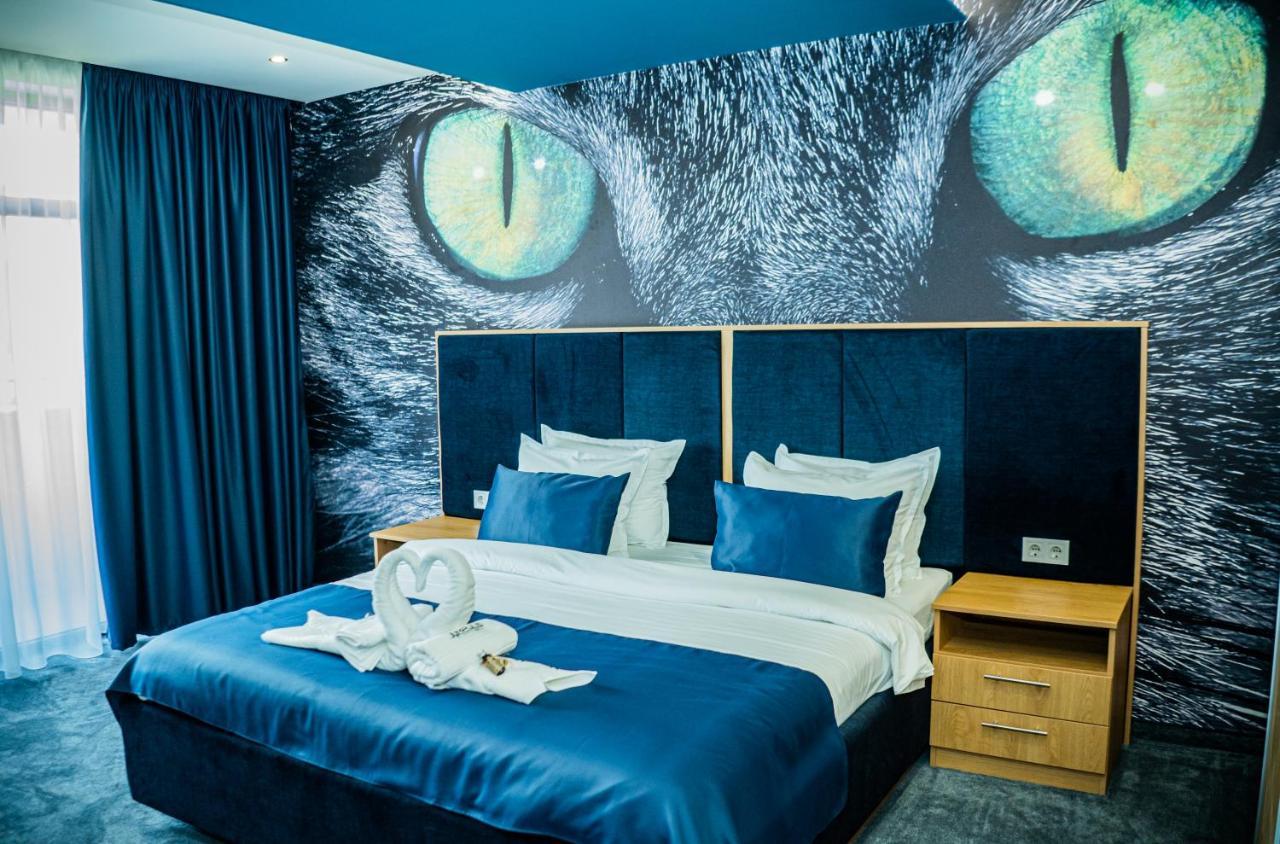 Impuls Hotel 维丁 外观 照片